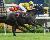 Dujardin and Danny Beasley combine for a first-up win on the turf last November.<br>Photo by Singapore Turf Club